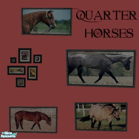 Sims 2 — Quarter Horse Picture Set by tagandkiss8100 — 5 Wonderful Quarter Horse Pictures.