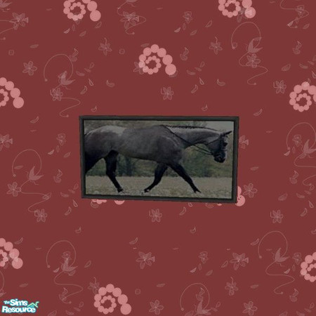Sims 2 — Quarter Horse Picture Set by tagandkiss8100 — 5 Wonderful Quarter Horse Pictures.