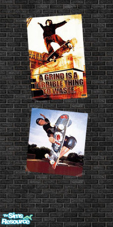 Sims 2 — Poster 1 by tessnz — Skaters