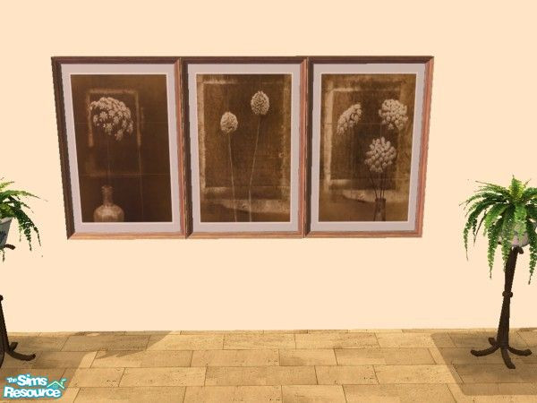 Sims 2 — Paintings Flowers Sephia II by Mutske — 3 Paintings. Flowers in Sephia.