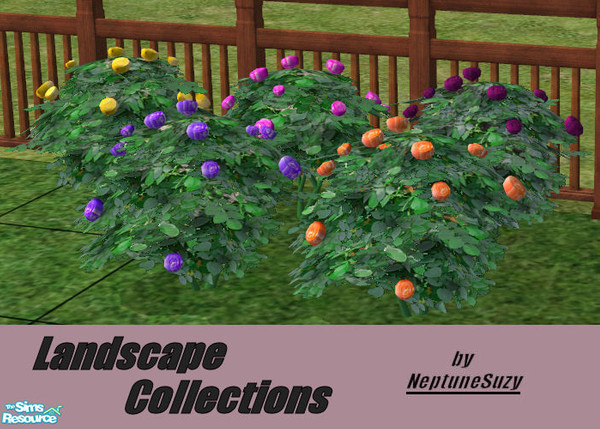 Sims 2 — NSC Landcape Set1 - Roses by Neptunesuzy — Collection of roses with newly colored flowers and foliage. Enjoy! 