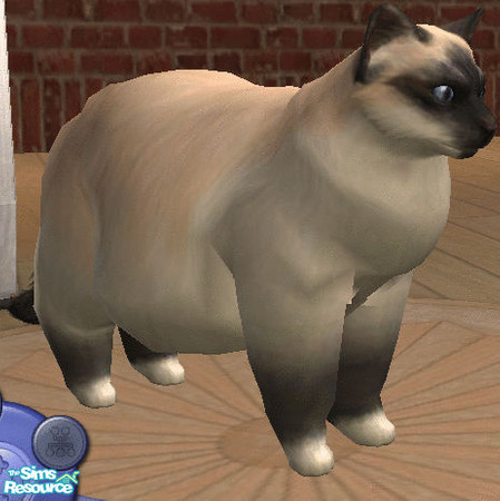Sims 2 — Really FAT CAT by habueris — Well, this is my first submission - doubt it\'ll work. Anyway, it\'s a really