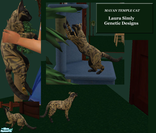 Sims 2 — Simly Mayan Temple Cat by debs913 — These exotic, feral cats were thought to be extinct, but with genetic