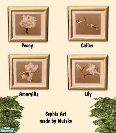 Sims 2 — Painting flowers sephia by Mutske — 4 Art Pictures in Sephia.