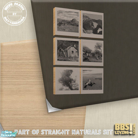 Sims 2 — Straight Naturals set, Photo-blocks Natu by BetterbeSim — Pictures on the side. Recolor of the Industrial