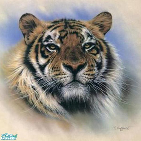 Sims 2 — Big Cats Painting 2 by MidnightRose — Part of a 16 painting collection. Based on the "Transcendance"