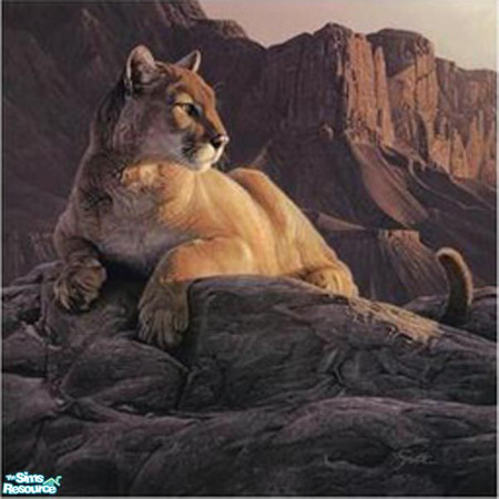 Sims 2 — Big Cats Painting 1 by MidnightRose — Part of a 16 painting collection. Based on the "Transcendance"