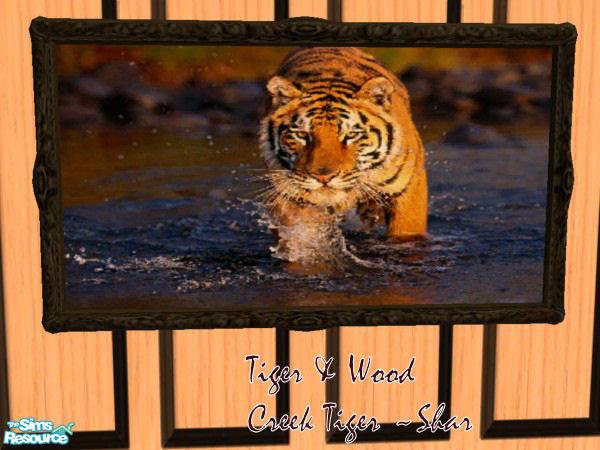 Sims 2 — Tiger and Wood Painting by Big Bad Shar — Tiger running in a creek painting