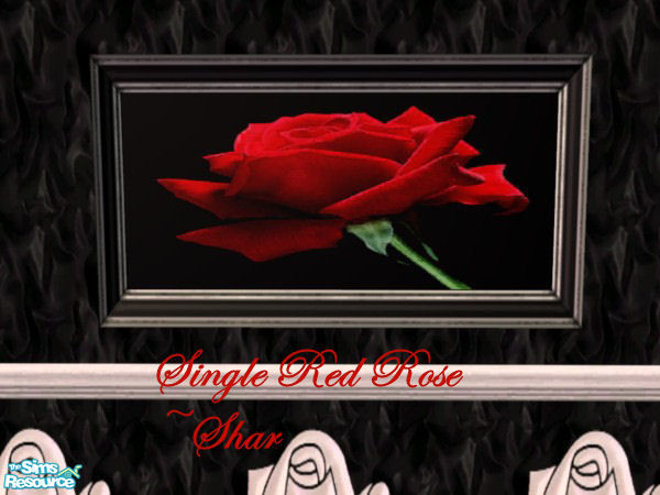 Sims 2 — Satin and Roses Painting by Big Bad Shar — Singe red rose painting