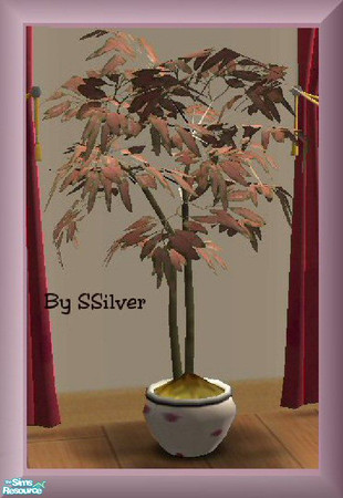 Sims 2 — Fig Tree with Pink Leaves by SSilver — The fig tree here has pinkish leaves. The pot is lighter and has hearts