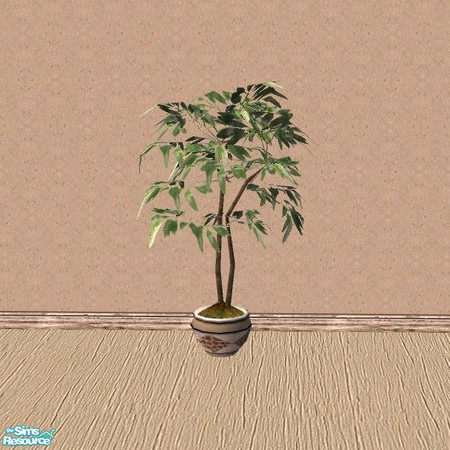 Sims 2 — Going Wild - Plant by Bitzybus — Plant to go with the "Going Wild Bedroom set". New color of the pot