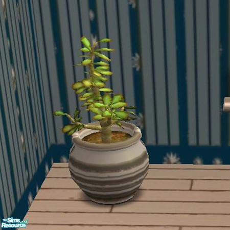 Sims 2 — Jade plant in silver clay pot by buntah — This is part of my Learning Center set.
