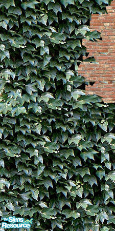 Sims 2 — ~Ivy Join by oldmember_Samharr01 — part of ~the ivy set~ by samharr