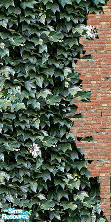 Sims 2 — ~Ivy full floor join right by oldmember_Samharr01 — part of ~the ivy set~ by Samharr