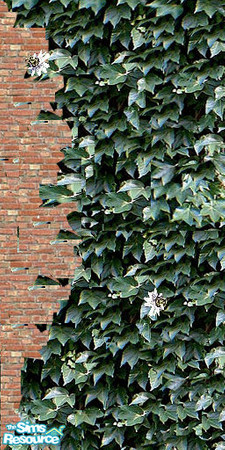 Sims 2 — ~Ivy Full Foor Join Left by oldmember_Samharr01 — part of the ~Ivy Set by Samharr~