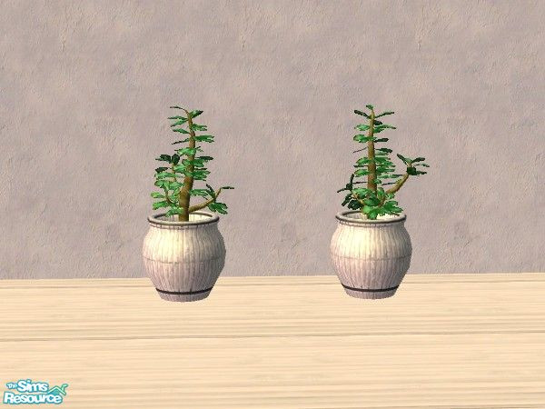 Sims 2 — Plant by Bitzybus — Plant with pale bamboo pot to go with the set.