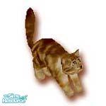 Sims 1 — Sassie by TSR Archive — Sassie hates dogs and loves to play with mice, adopt today for your Sims. 