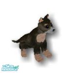 Sims 1 — Shep Terrier by Steffieb — By Request