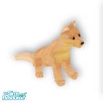 Sims 1 — Taz by TSR Archive — Taz is a cross mix of Chow/Akita. Adopt today he's real cut. Done as a request.