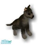 Sims 1 — Black Night by Steffieb — Sims need a watchdog? This is the dog for the job!