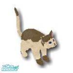 Sims 1 — Chocolate by Steffieb — A sweet kitty colored for fall.
