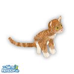 Sims 1 — Tiger by TSR Archive — This cute little red tiger cat was done as a request.