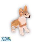 Sims 1 — Corgi by TSR Archive — This cute little Corgi was done as a request.