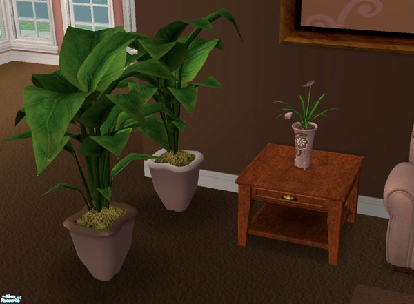Sims 2 — Marcia Brady Plant Set by jigsawtooth — Gorgeous pink and brown recolors of the Maxis rubber tree plant and