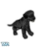 Sims 1 — Buck by TSR Archive — Is your Sims family lonely or need a companion, adopt a Black Lab puppy. Done as a