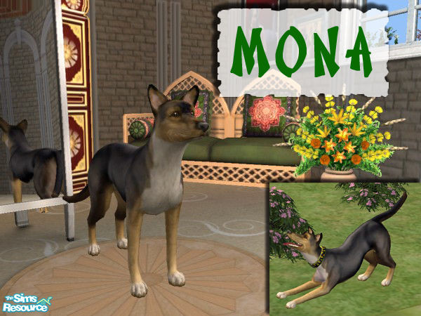 Sims 2 — Mona by kazakh — One of my dogs, her mom is my Tiny (a half-husky), daddy is a german shepherd.