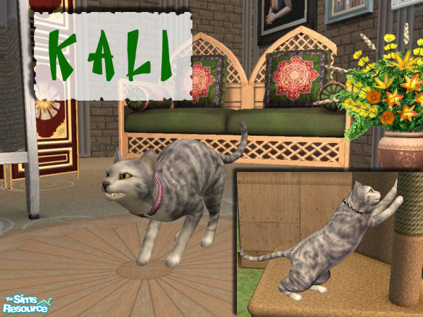 Sims 2 — Kali by kazakh — 