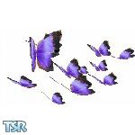 Sims 1 — Ultra Violet by NiGhT_PhOeNiX — This is an animal from NiGhT_PhOeNiX's Pet Store at Arabian Sims. This butterfly