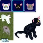 Sims 1 — Sailor Moon Cats by BastDawn — These three cats are from the popular Sailor Moon anime cartoon. Their names are