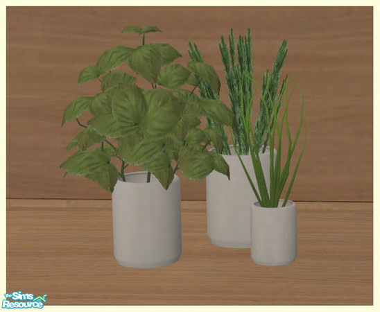 Sims 2 — Constance Kitchen - Herb collection by Elize-37sims — Herbs for your kitchen, in the plants section. Basel,